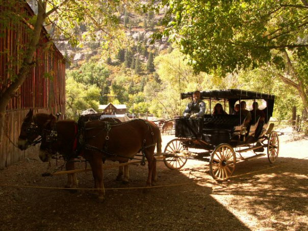 Ouray Mule & Carriage Company景点图片