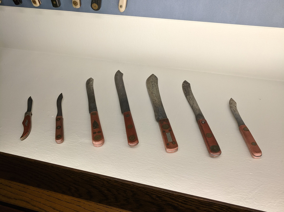 Warther Museum-Dover必去景点