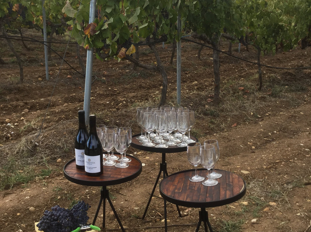 Zornitza Family Estate Relais & Chateaux主图
