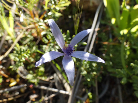 Hidden Hollow-Narembeen必去景点