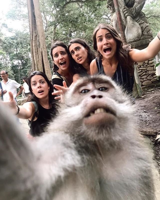 Sangeh Monkey Forest-Sangeh必去景点