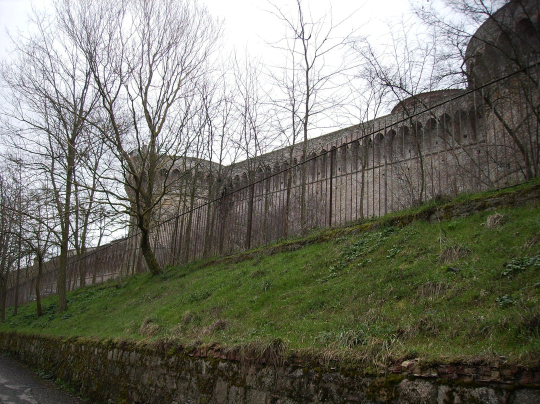 Medici Fortress景点图片