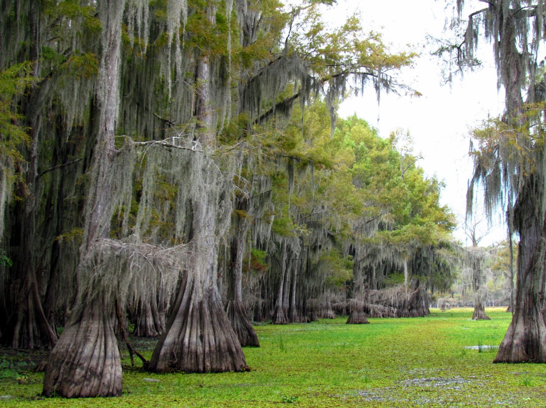 Oil City旅游景点-Johnson's Ranch Marina