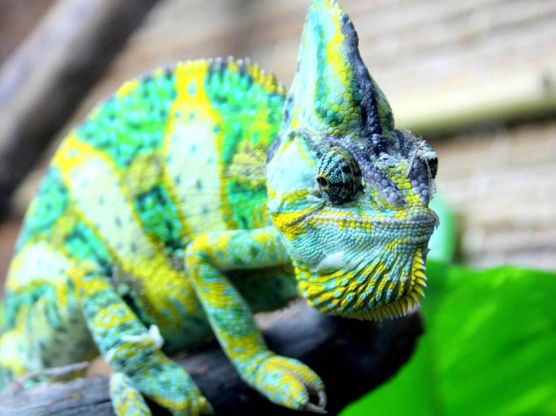 Rainforest Adventures-塞维尔维尔必去景点