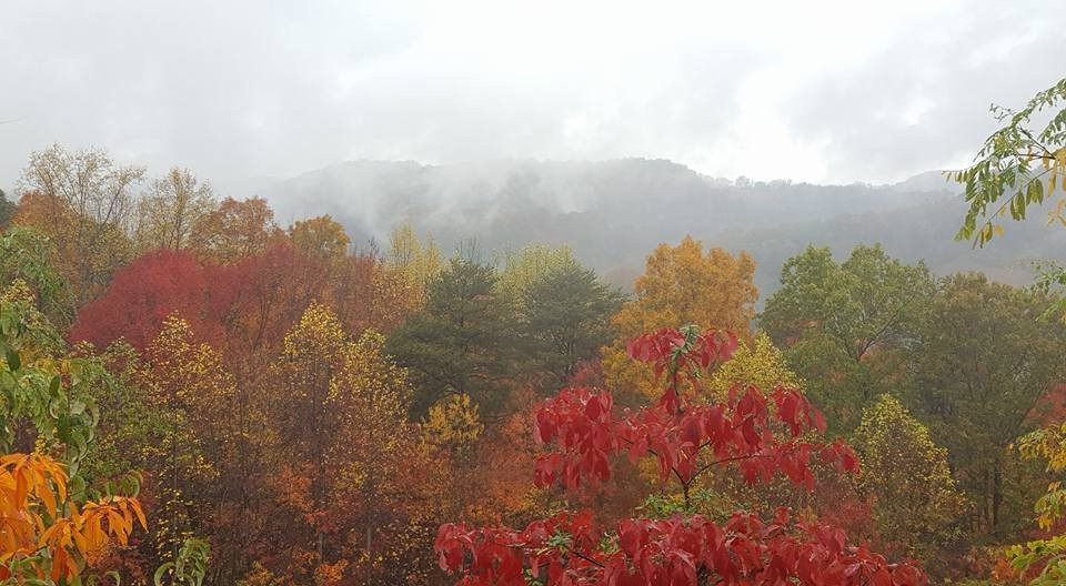 Foothills Parkway-大雾山国家公园必去景点
