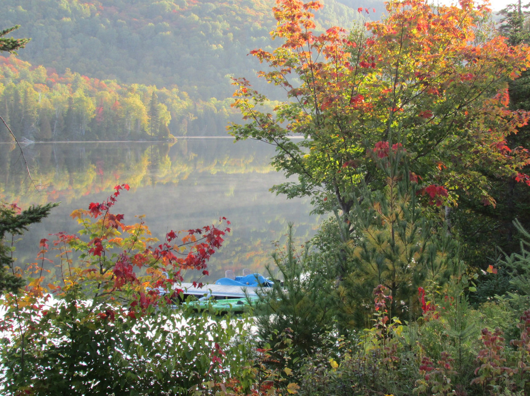 Motel Ours Bleu主图