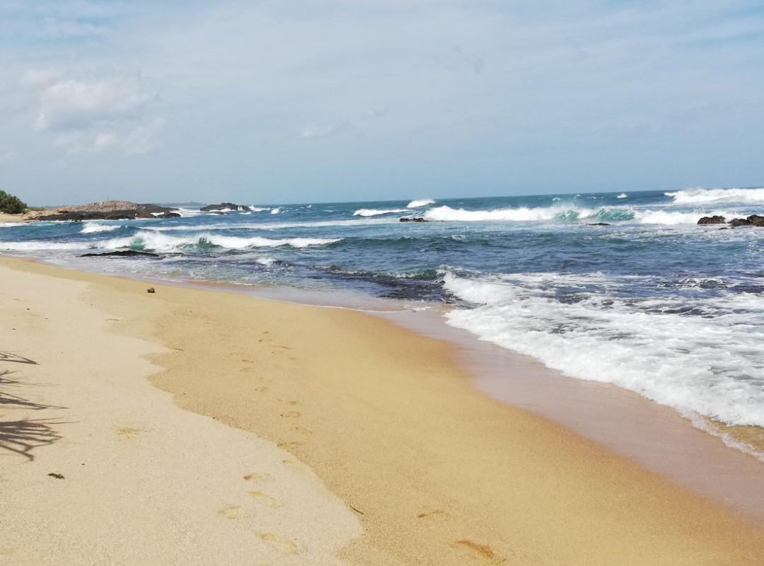 Turtles View Resort主图