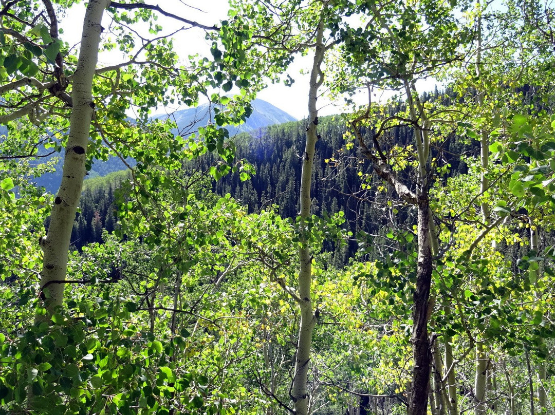 American Lake Trail景点图片