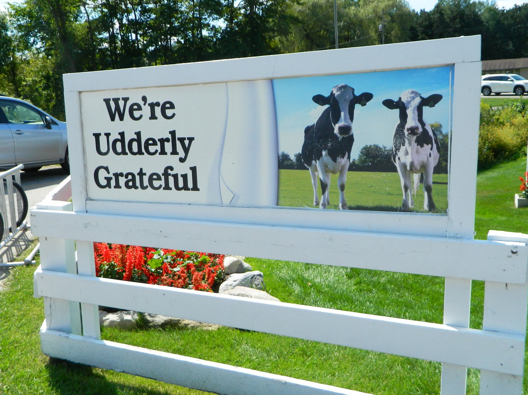 Country Dairy景点图片