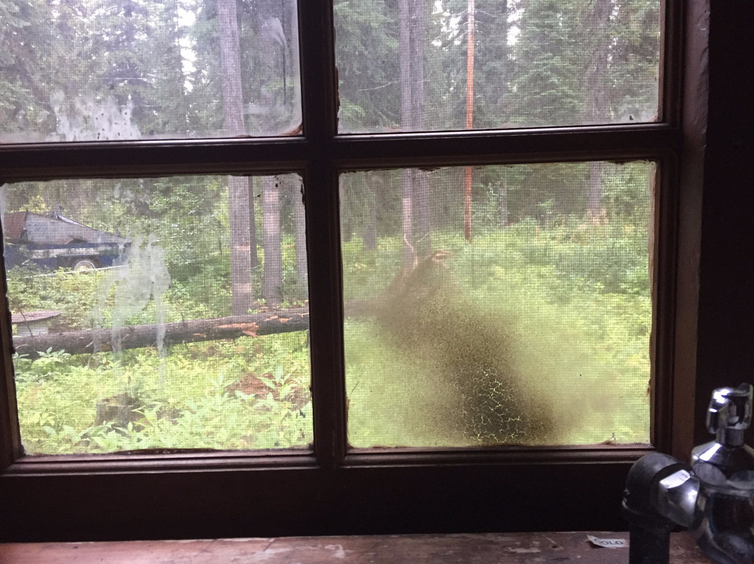 Kootenay Park Lodge主图