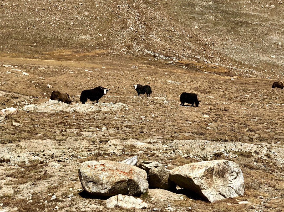 Kunjerab Pass-罕萨必去景点