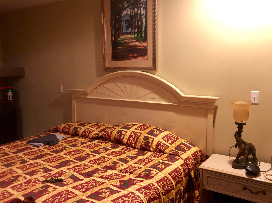 Ole Miss Motel主图