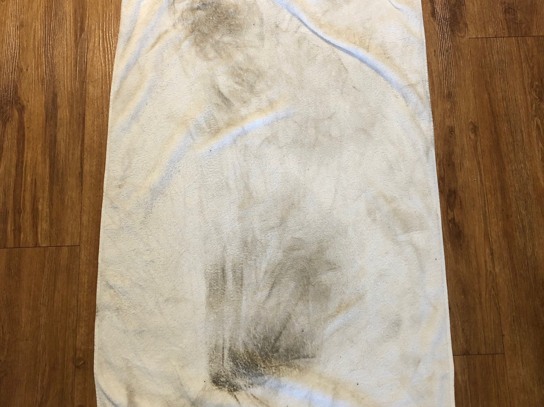 Motel 6 New Iberia, LA主图