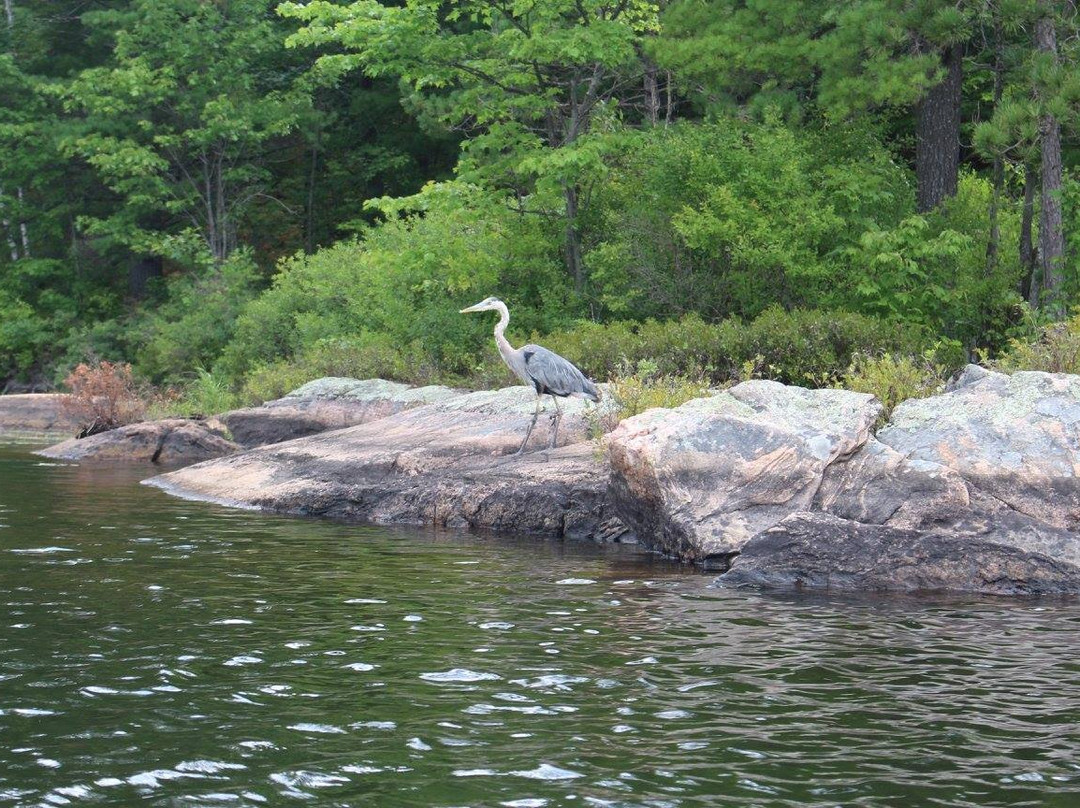 Kawartha Highlands Provincial Park景点图片