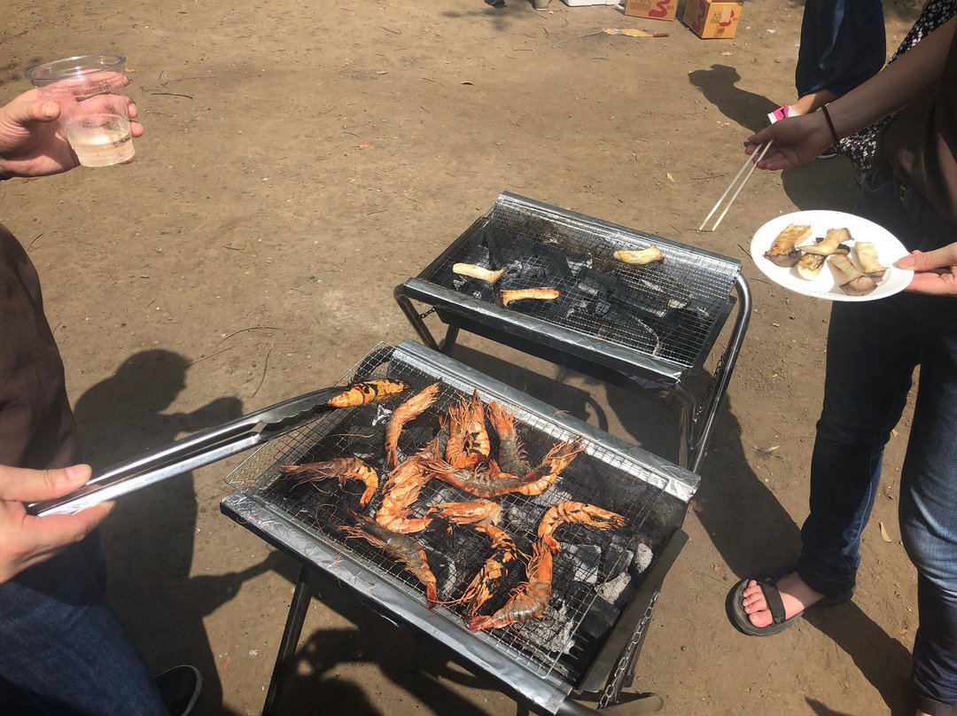 Ojima Komatsugawa Park-江东区必去景点