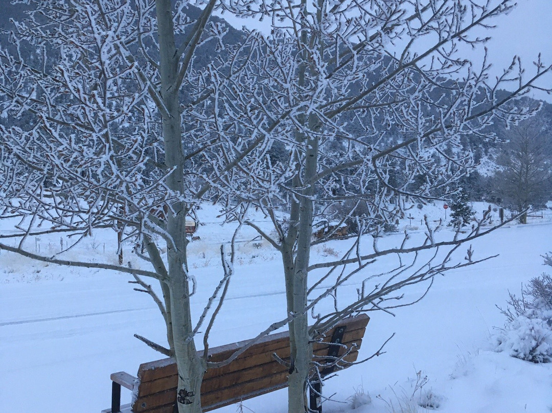 Wilkerson Pass-Lake George必去景点