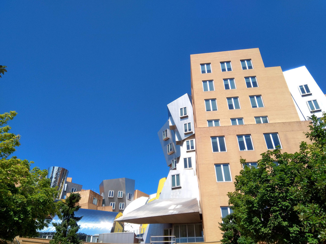 Stata Center景点图片