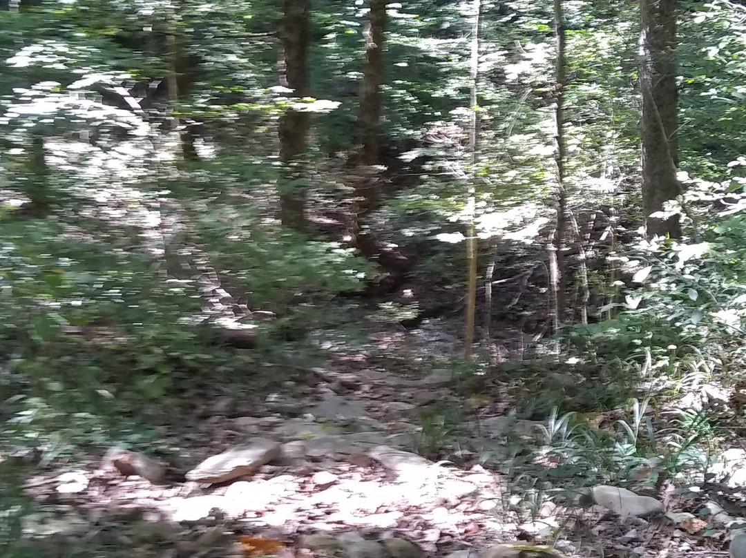 O'Bannon Woods State Park-Corydon必去景点