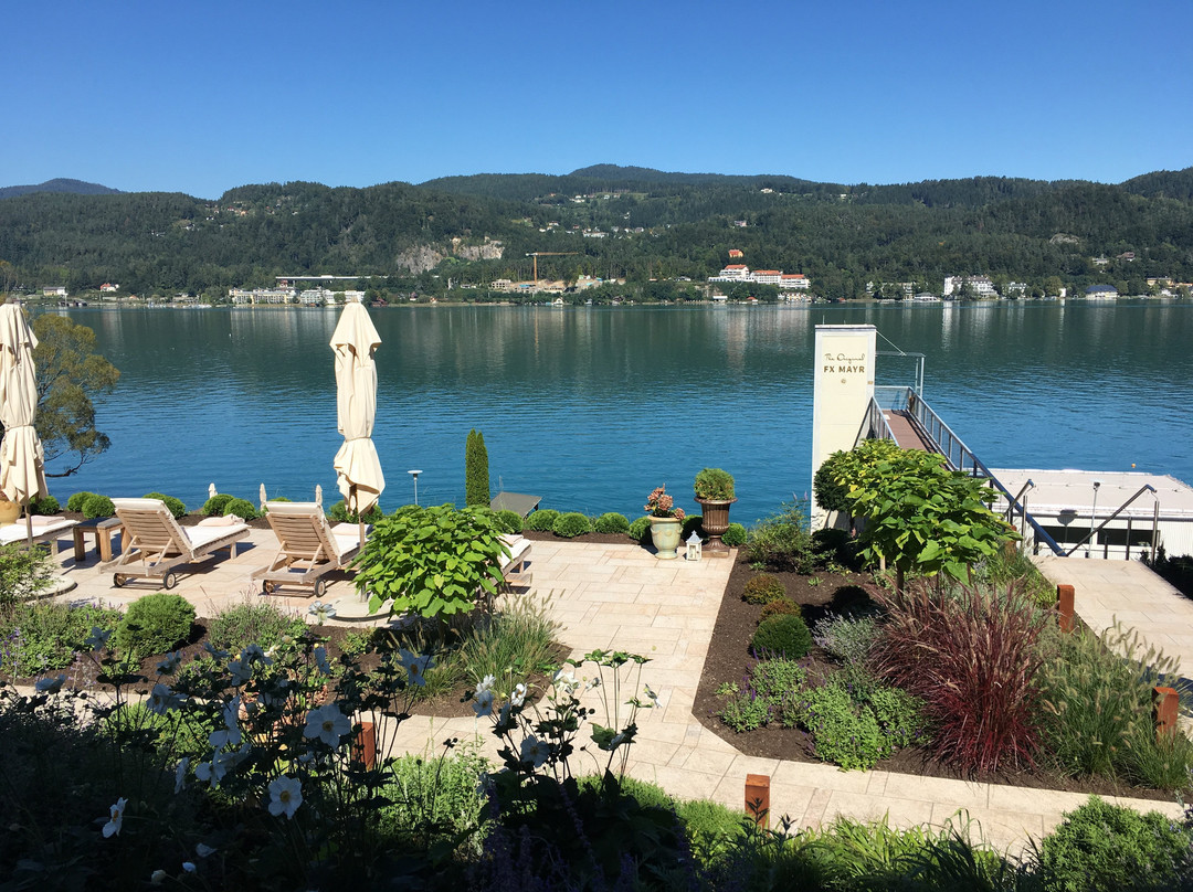 The Original FX Mayr主图