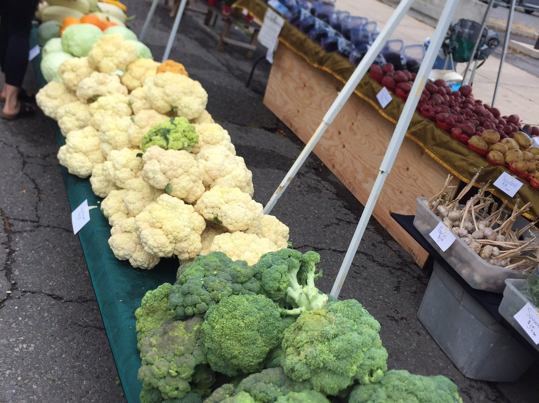 Missoula Farmer's Market-米苏拉必去景点