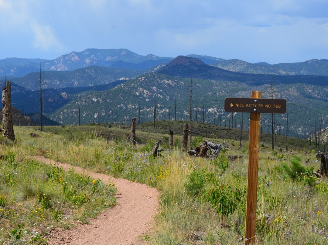 2023年12月Buffalo Creek旅游景点攻略Buffalo Creek旅游住宿,Buffalo Creek旅游美食猫途鹰