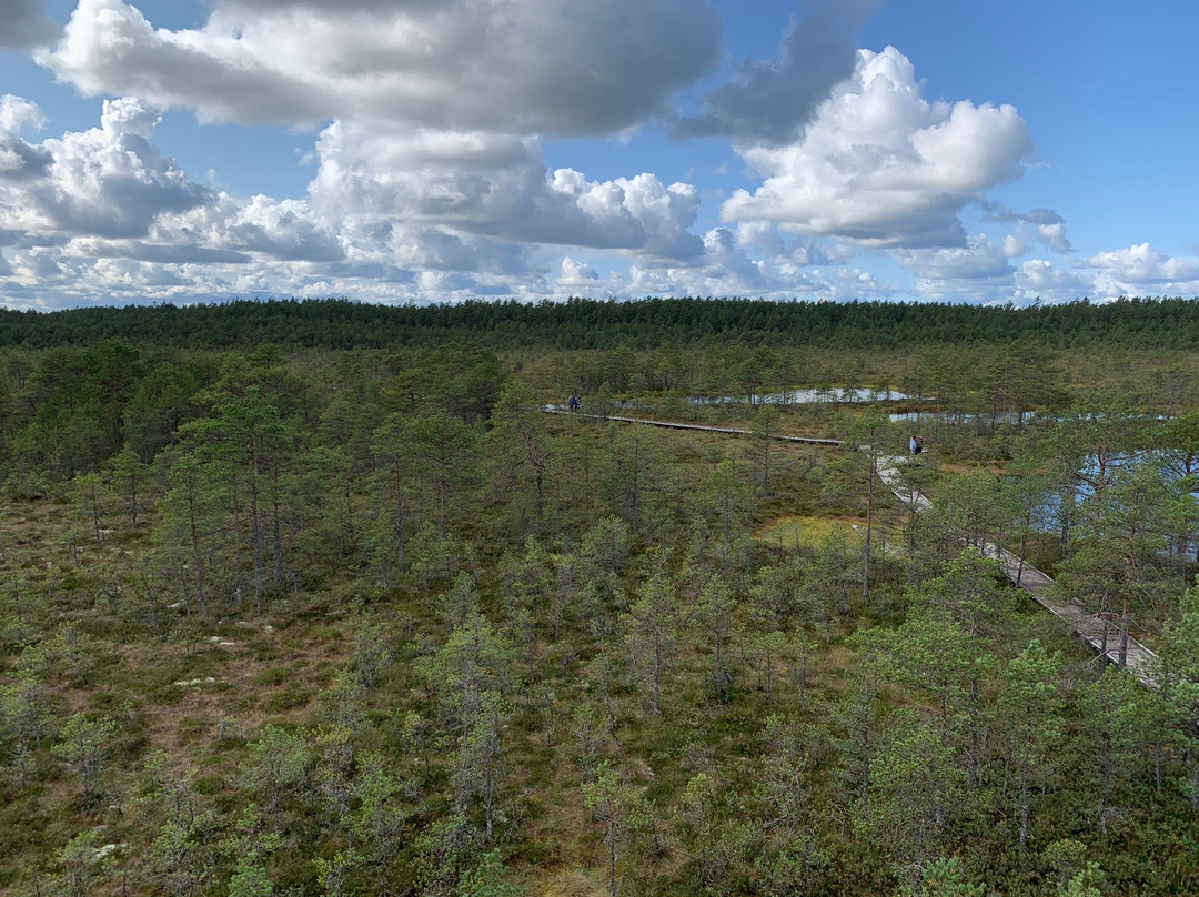 Viru Bog Trail-Kolga必去景点