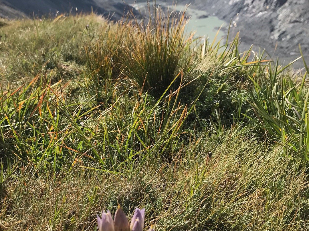 Großglockner National Park景点图片