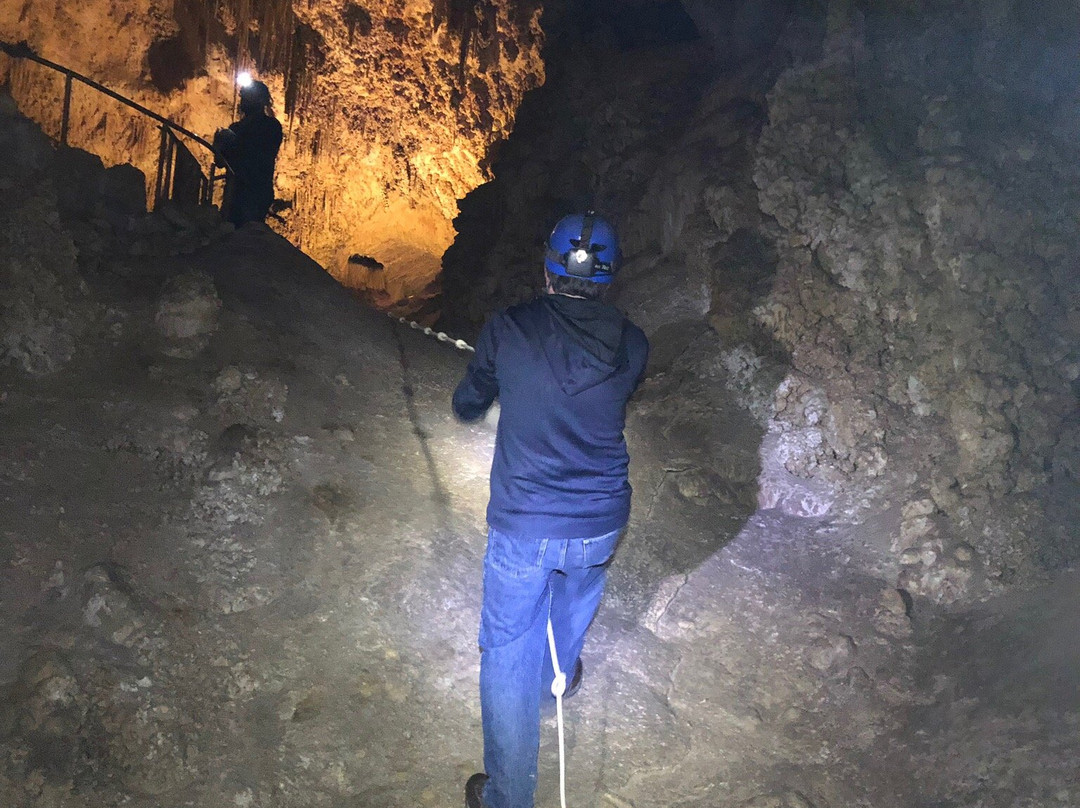 Lower Cave Tour-卡尔斯巴德洞穴国家公园必去景点