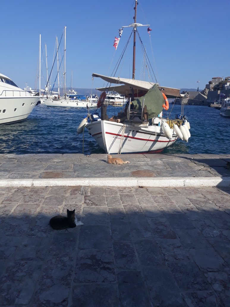 Athina Guesthouse-官方