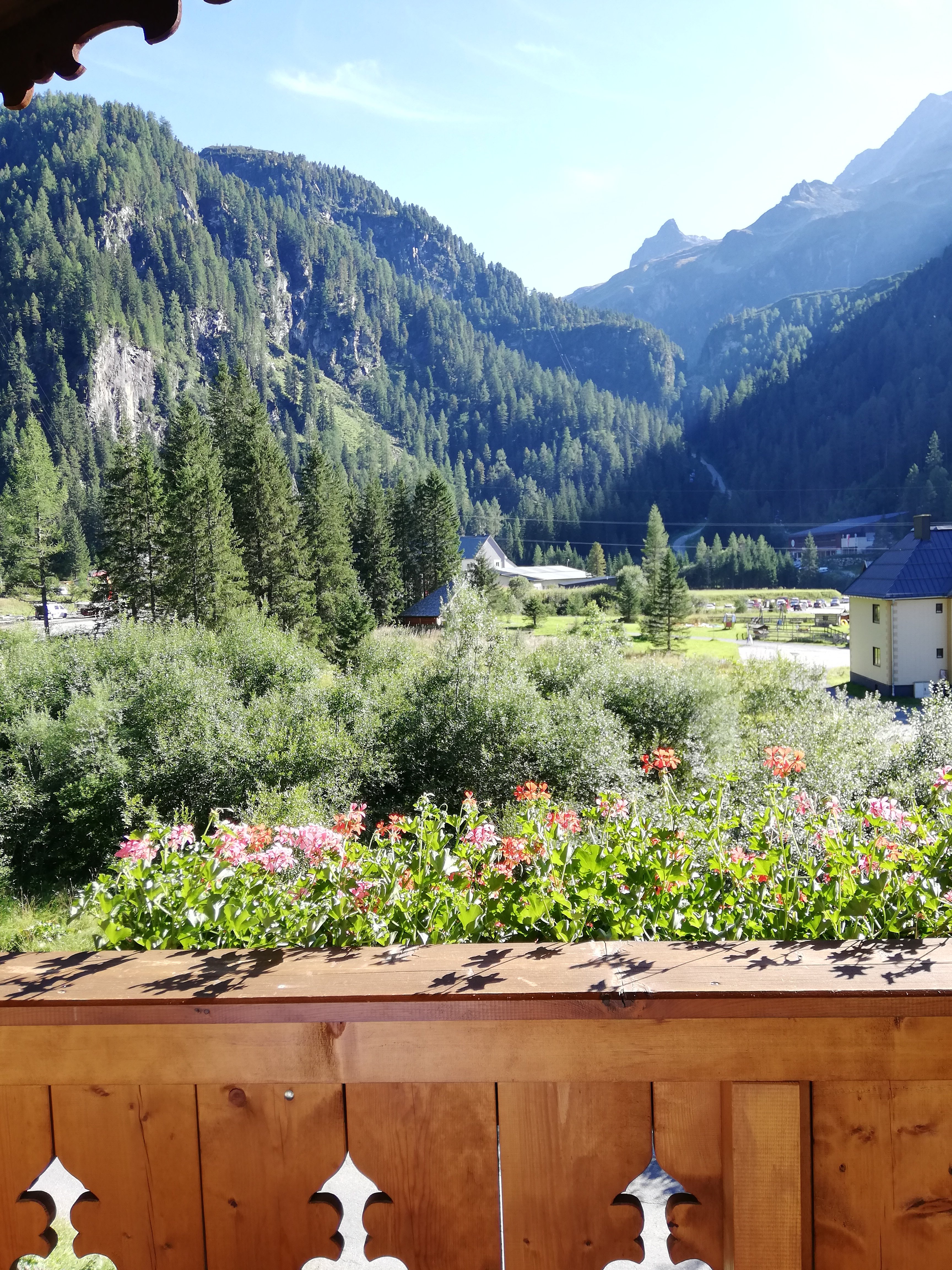 Alpengasthof Enzingerboden-酒店景观