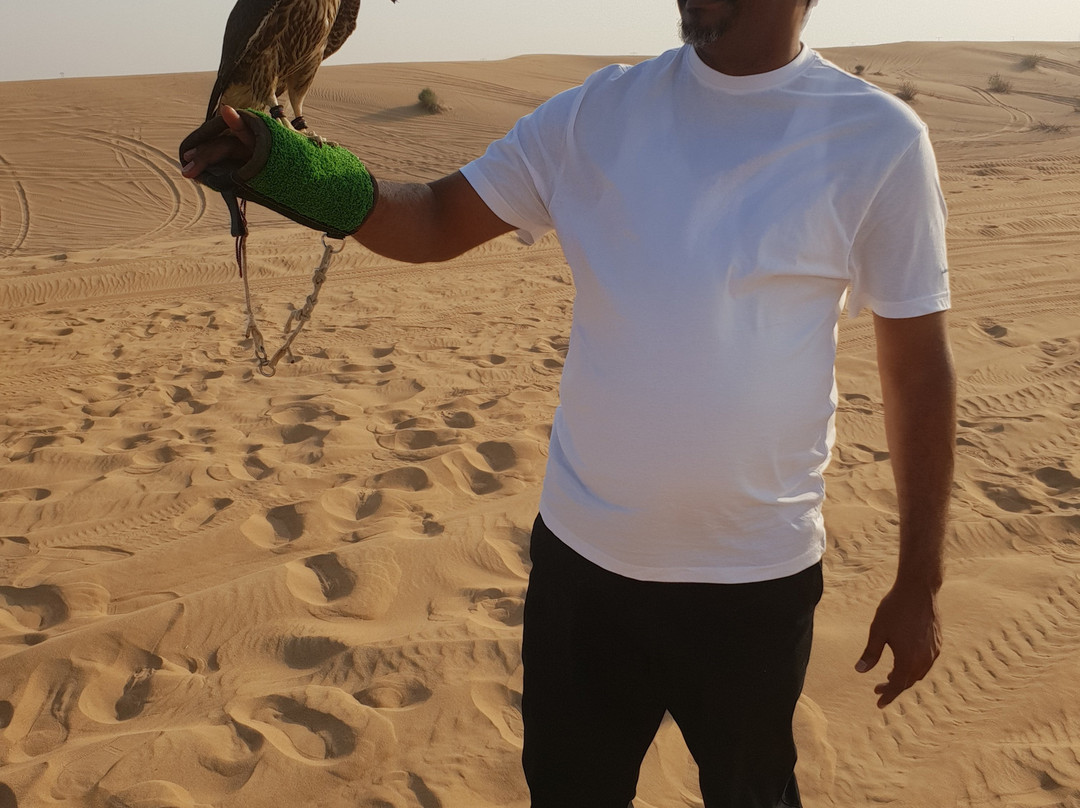 Rayna Tours-迪拜必去景点