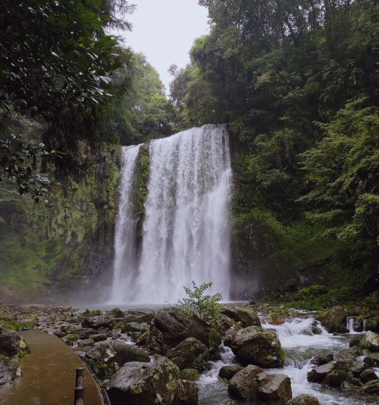 Sakuradaki Waterfall景点图片