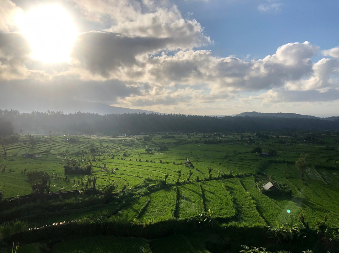Sb Bali Tours景点图片
