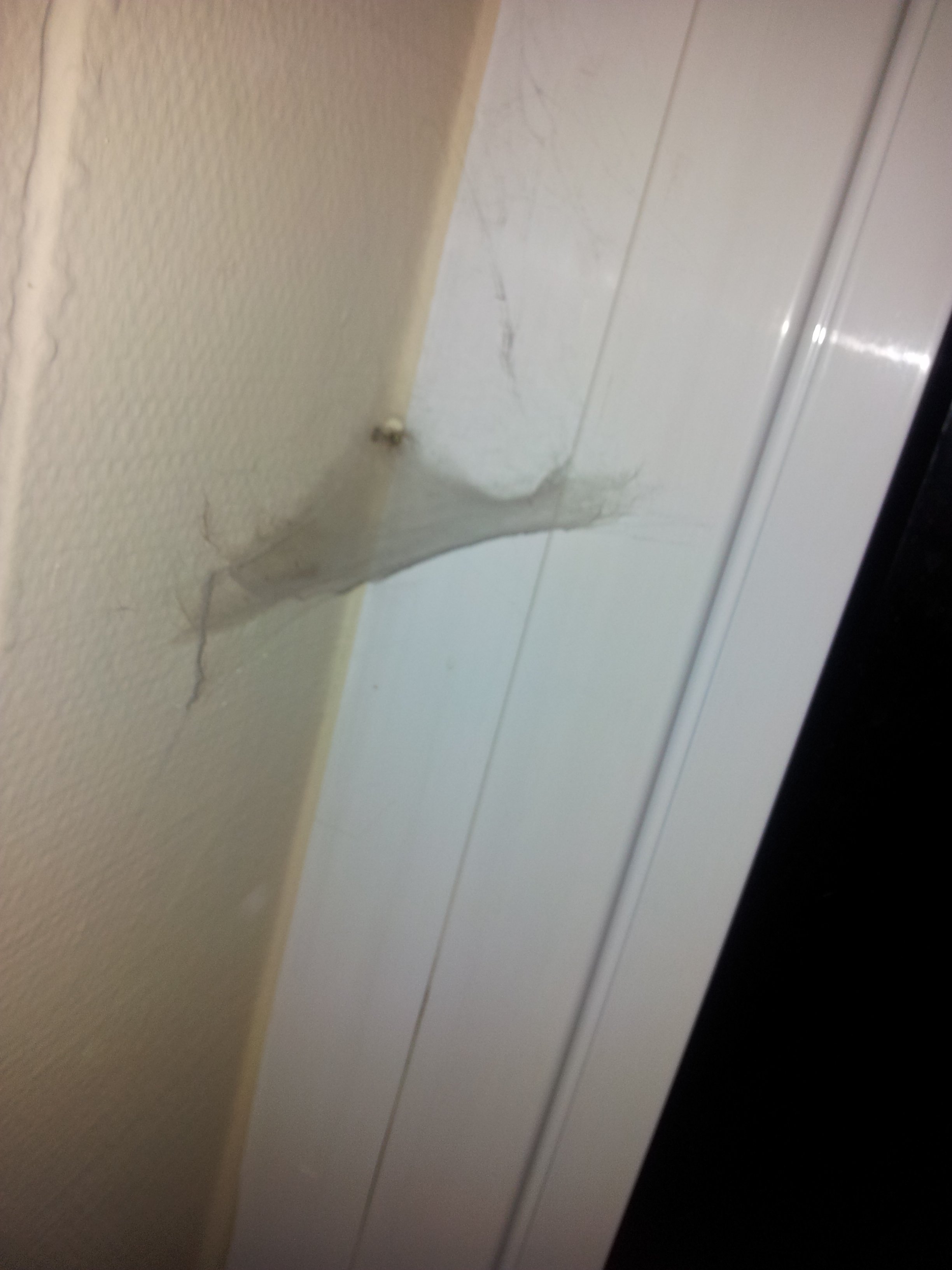 阿拉斯酒店-portrait