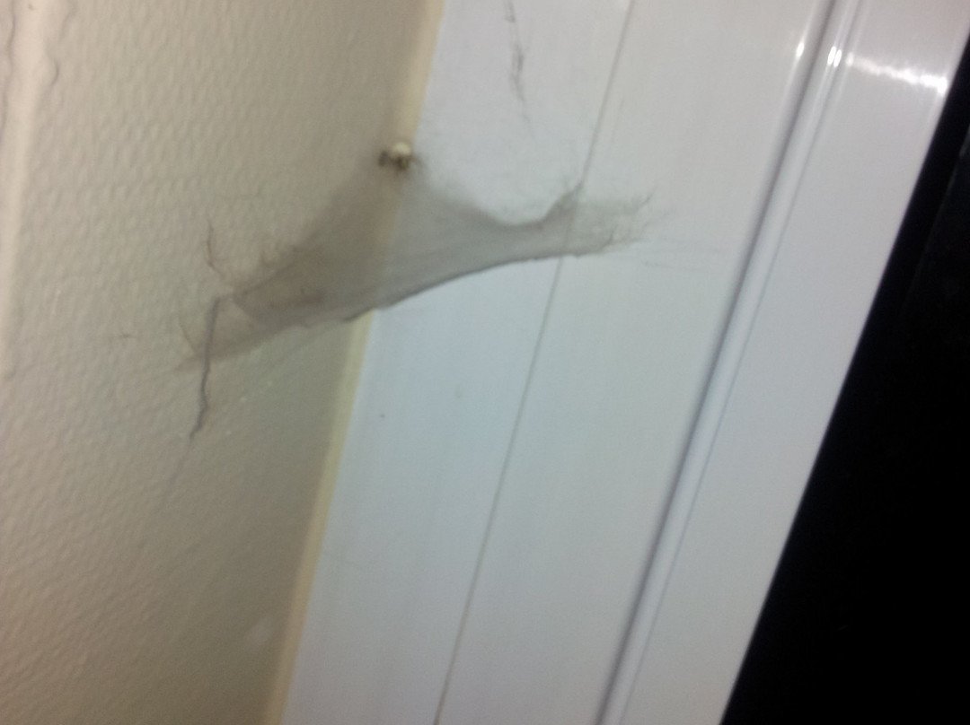 阿拉斯酒店主图