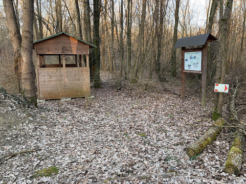 Bosco Parauro-米兰诺必去景点