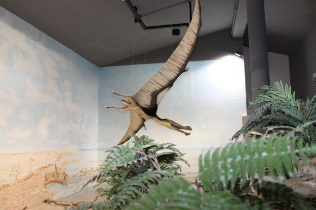 Museo Paleontologico景点图片