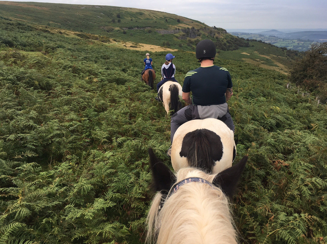 Wern Trekking and Riding Centre-Crickhowell必去景点