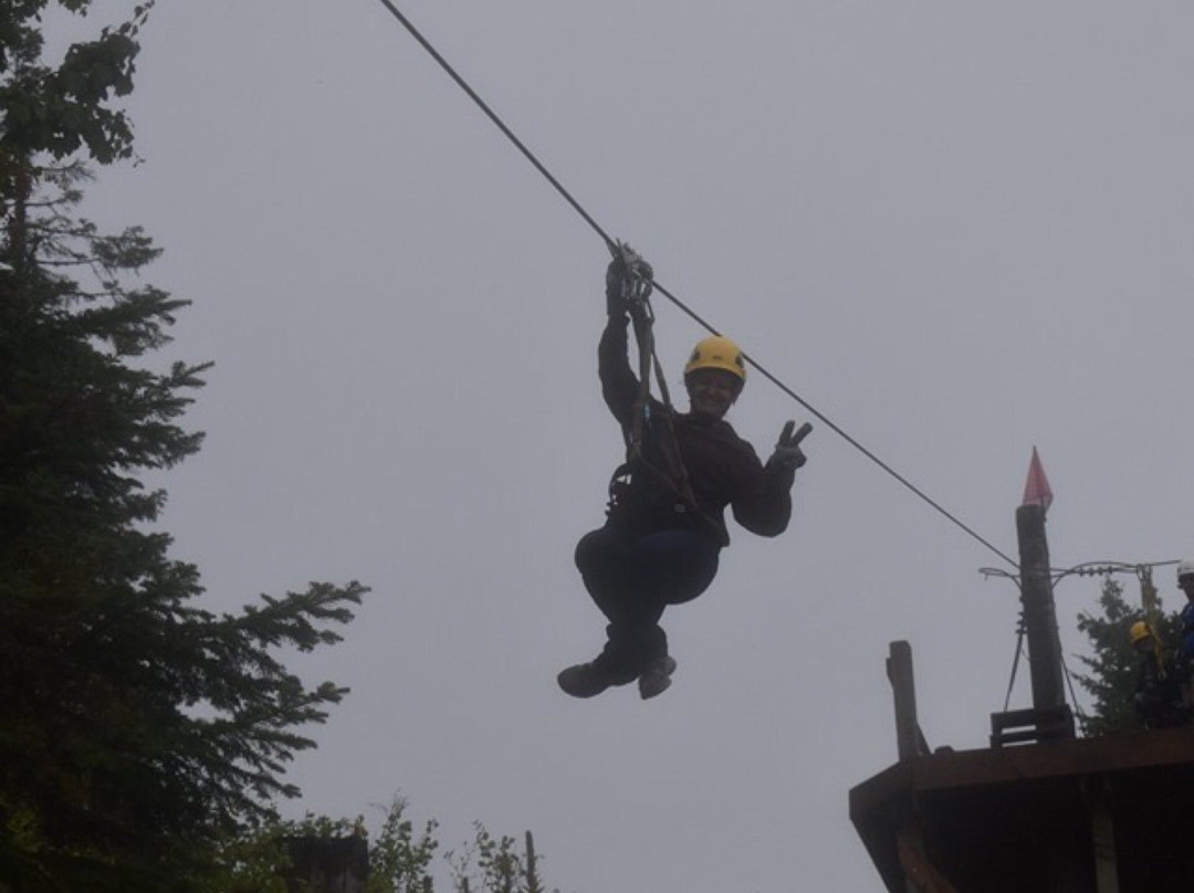 Silver Streak Zipline Tours景点图片
