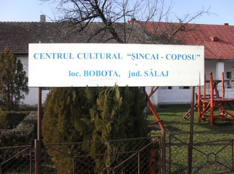 Complexul Cultural Sincai - Coposu-Bobota必去景点