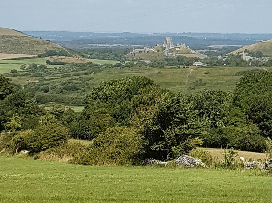 Corfe Castle景点图片