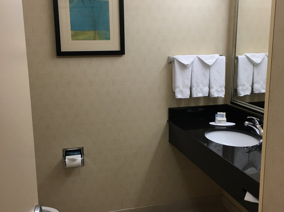 南帕博伊西费尔菲尔德旅馆&套房酒店主图