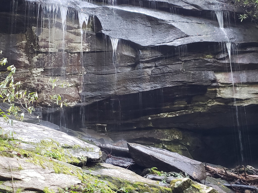 Slick Rock Falls景点图片