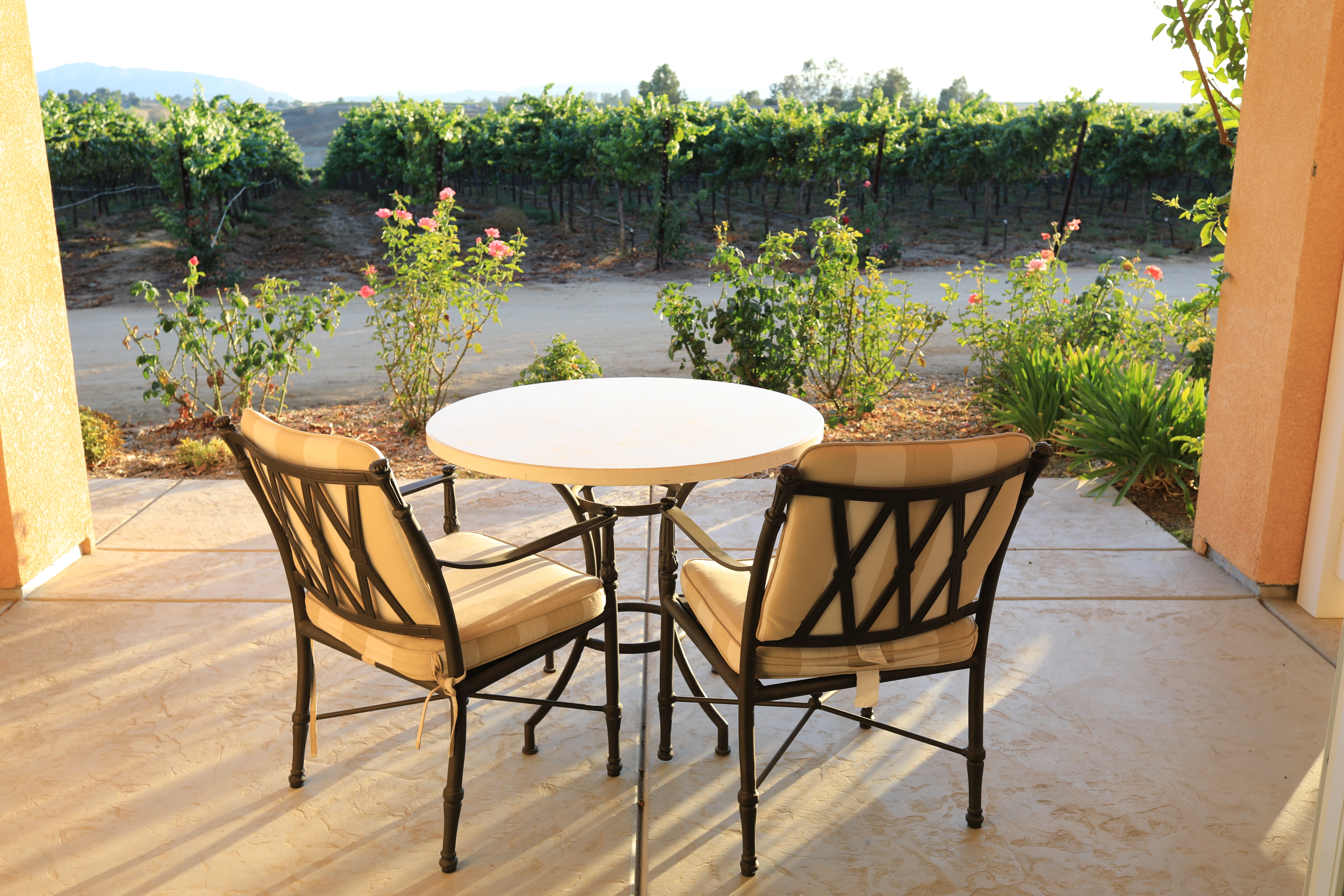 Carter Estate Winery and Resort-酒店景观