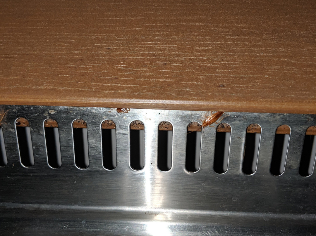 山泉汽车旅馆及房车公园主图