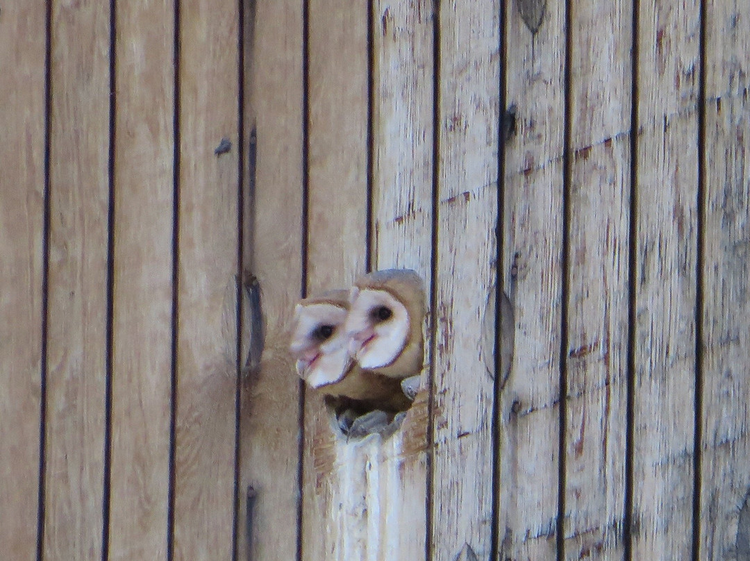 Deer Run Ranch Bed and Breakfast主图