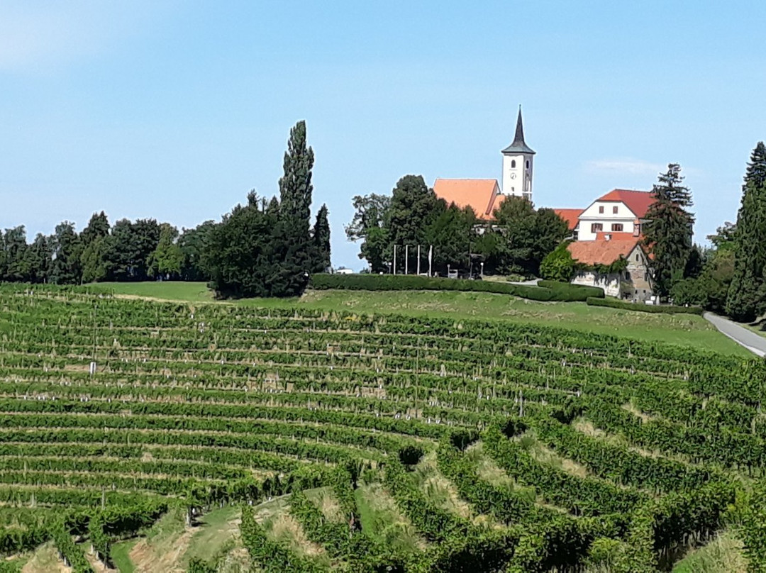 Vinothek Jeruzalem-Ljutomer必去景点