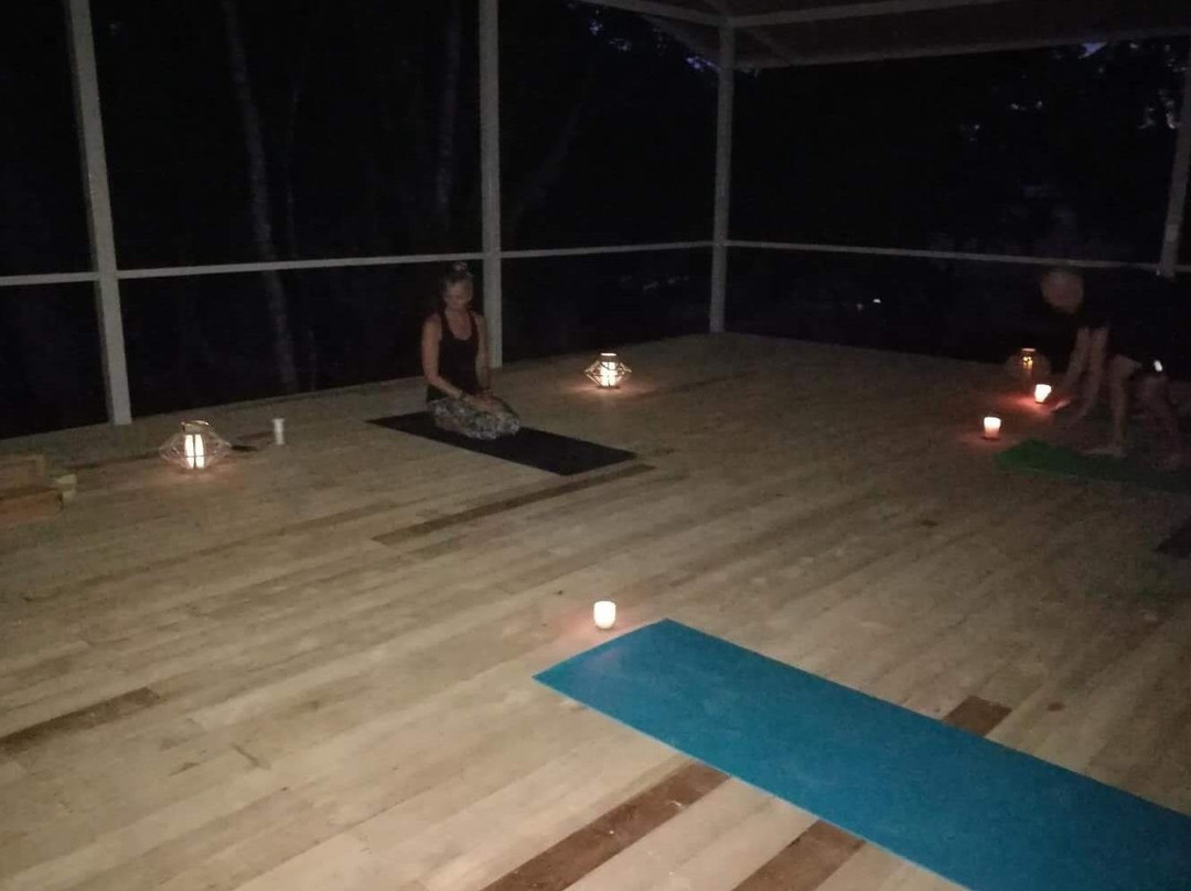 Serenidad Yoga and Wellness Center景点图片