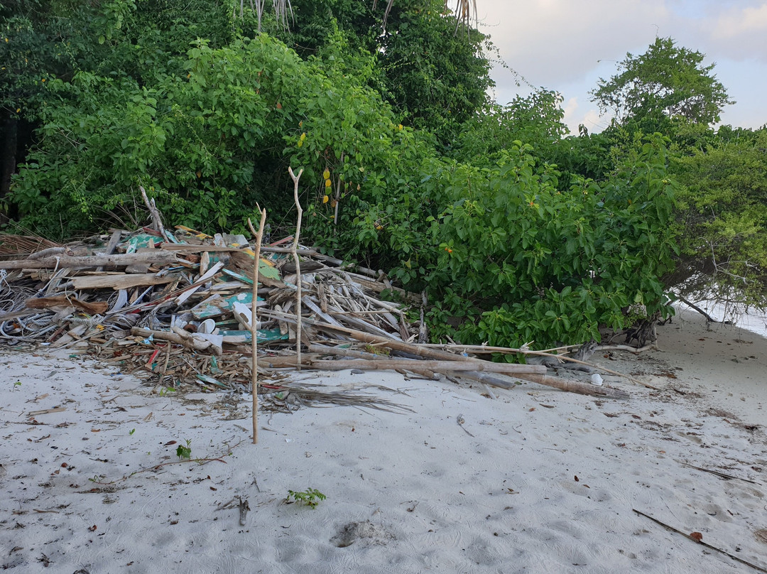 Hoga Island Dive Resort主图