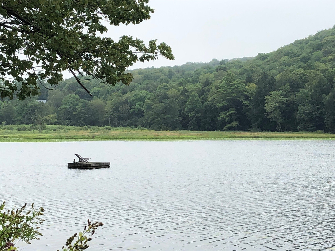 The Inn at Starlight Lake主图